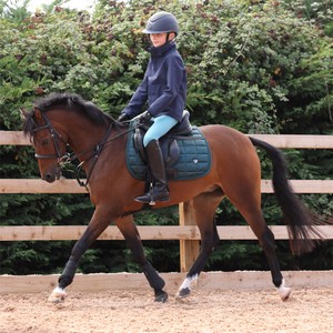 Shires Shires Aubrion React Young Rider Waterproof Coat in Midnight