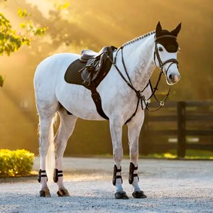 LeMieux LeMieux Brilliance Close Contact Square Saddle Pad in Black