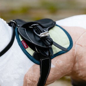 LeMieux LeMieux Toy Pony Saddle Pad in Macaron
