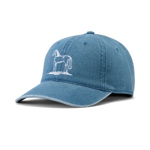 Ariat Ariat Country Cap in Light Denim