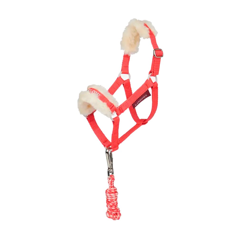LeMieux LeMieux Harlow Hobby Horse Headcollar & Leadrope in Coral Crush