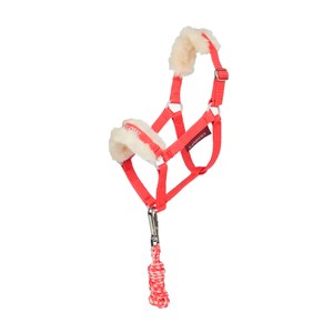 LeMieux LeMieux Harlow Hobby Horse Headcollar & Leadrope in Coral Crush