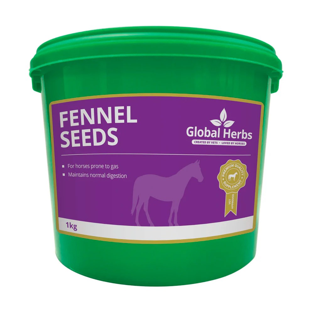Global Herbs Global Herbs Fennel Seeds 
