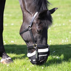 Shires Shires Freegraze Deluxe Airflow Detachable Grazing Muzzle in Black