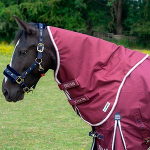 Gallop Gallop Trojan Xtra Duraproof Neck Cover 0g in Burgundy