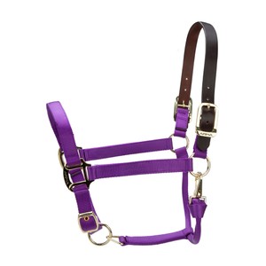 Shires Shires ARMA Premium Adjustable FieldSafe Headcollar in Purple