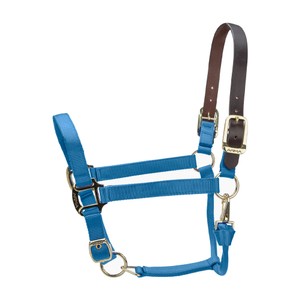 Shires Shires ARMA Premium Adjustable FieldSafe Headcollar in Royal Blue