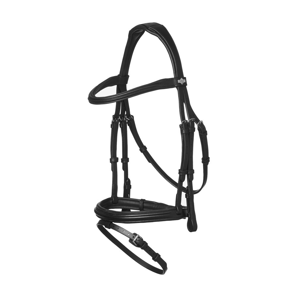 LeMieux LeMieux Arika Flash Bridle in Black/Silver