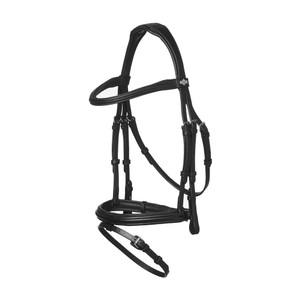 LeMieux LeMieux Arika Flash Bridle in Black/Silver