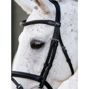 LeMieux LeMieux Arika Flash Bridle in Black/Silver