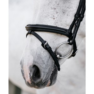 LeMieux LeMieux Arika Flash Bridle in Black/Silver