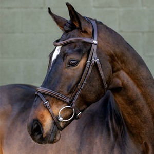 LeMieux LeMieux Arika Flash Bridle in Brown/Silver