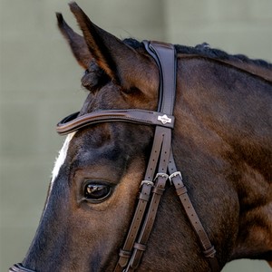 LeMieux LeMieux Arika Flash Bridle in Brown/Silver