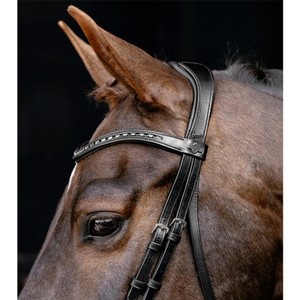 LeMieux LeMieux Arika Dressage Bridle in Black/Silver