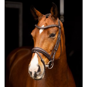 LeMieux LeMieux Arika Dressage Bridle in Brown/Silver
