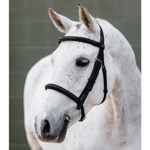 LeMieux LeMieux Arika Classique Cavesson Bridle in Black