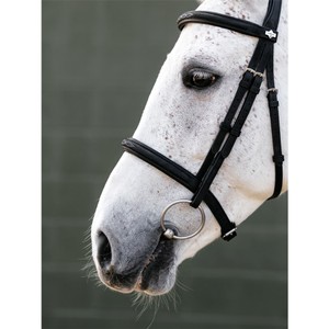 LeMieux LeMieux Arika Classique Cavesson Bridle in Black