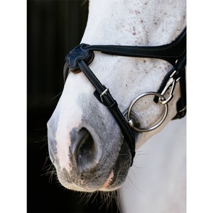 LeMieux LeMieux Kudos Grackle Work Bridle in Black