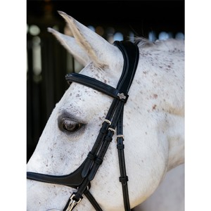 LeMieux LeMieux Kudos Grackle Work Bridle in Black