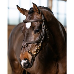 LeMieux LeMieux Kudos Grackle Work Bridle in Brown