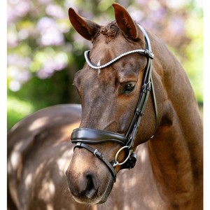 LeMieux LeMieux Kudos Anatomic Dressage Bridle in Brown
