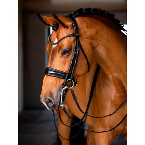 LeMieux LeMieux Kudos Double Bridle in Black