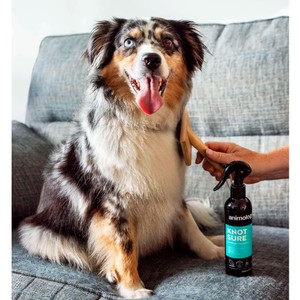 Animology Animology Knot Sure Detangle Spray 