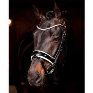 LeMieux LeMieux Ice Crystal Browband in Black
