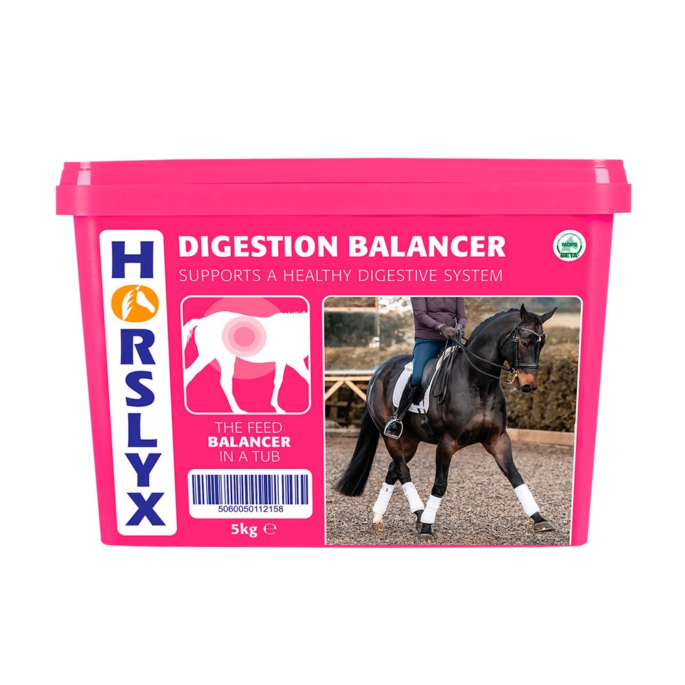 Horslyx Horslyx Digestion Balancer Lick 5kg 