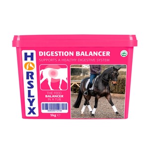 Horslyx Horslyx Digestion Balancer Lick 5kg 