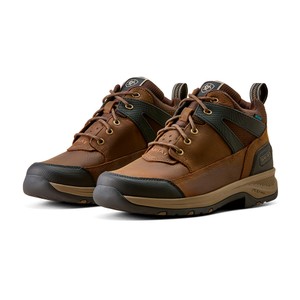 Ariat Ariat Mens Terrain Trek H2O Boots in Dark Chocolate