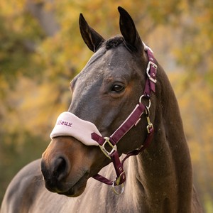 LeMieux LeMieux Vogue Fleece Headcollar and Leadrope Set in Blackberry