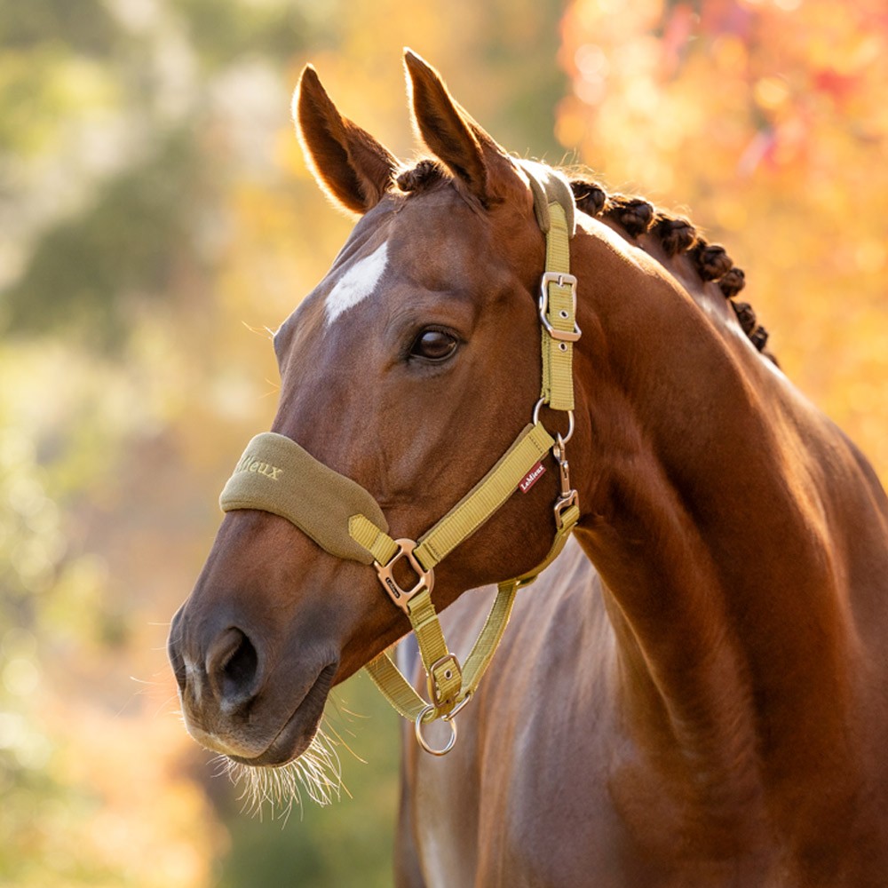 LeMieux Vogue Fleece Headcollar and Leadrope Set Green