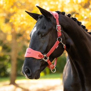 LeMieux LeMieux Vogue Fleece Headcollar and Leadrope Set in Russet