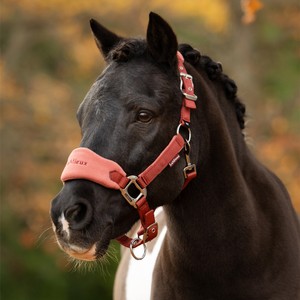 LeMieux LeMieux Vogue Fleece Headcollar and Leadrope Set in Russet