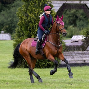 LeMieux LeMieux Suede GP Square Saddle Pad in Blackberry