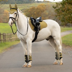 LeMieux LeMieux Suede GP Square Saddle Pad in Gooseberry