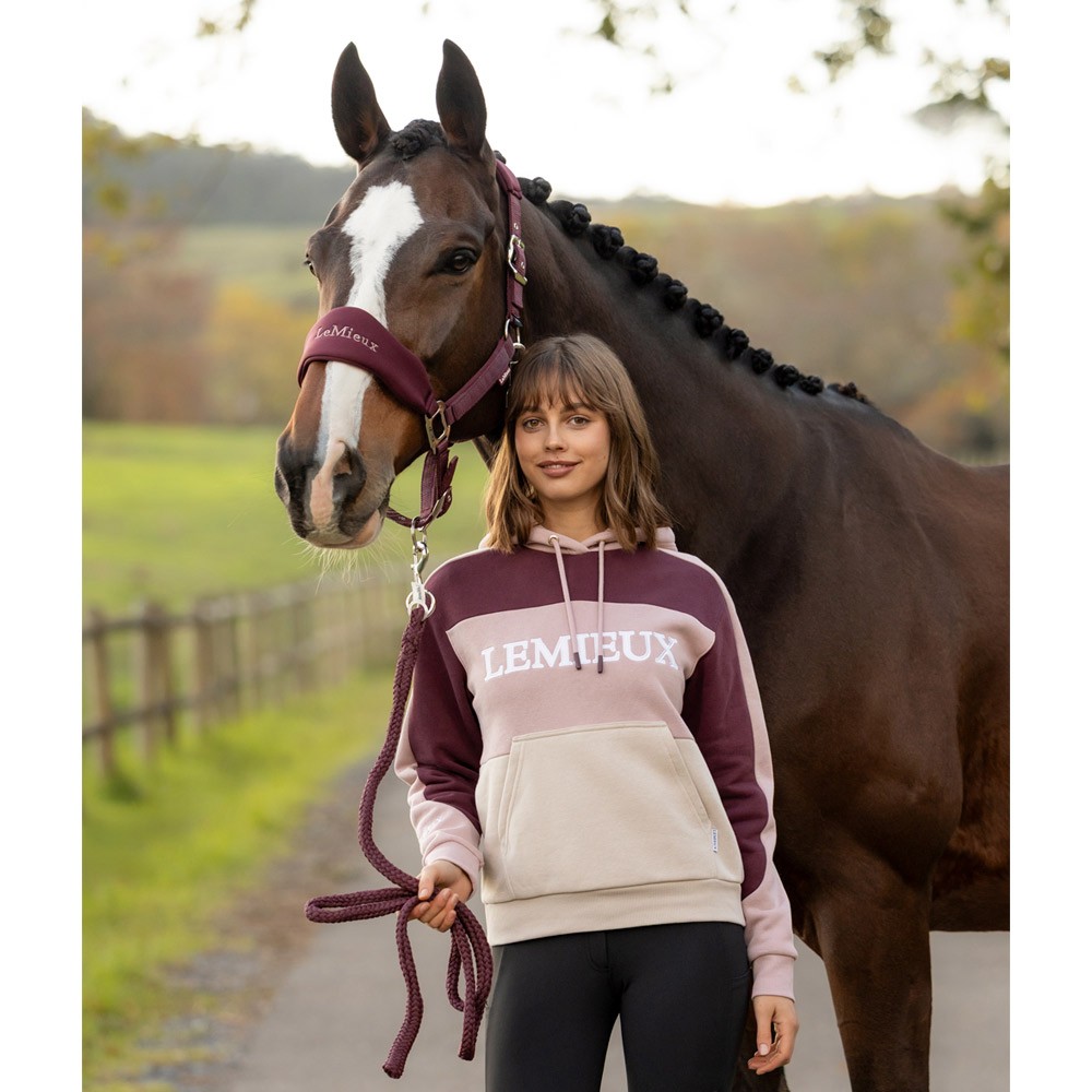 LeMieux Kadie Colour Block Hoodie Pink