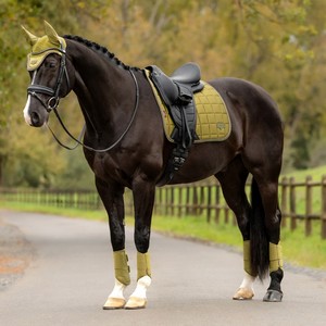 LeMieux LeMieux Loire Classic Dressage Square in Gooseberry