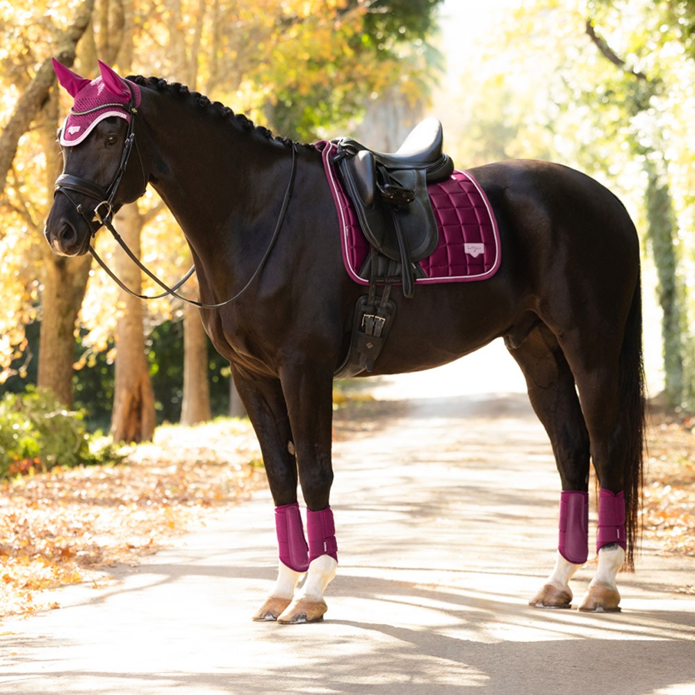 LeMieux Loire Classic Dressage Square Purple