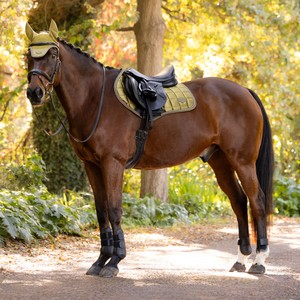 LeMieux LeMieux Loire Classic Close Contact Square in Gooseberry
