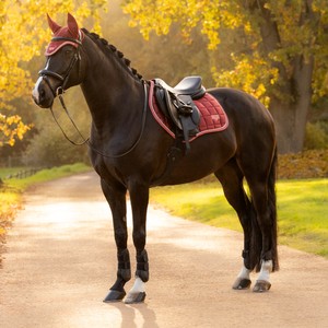 LeMieux LeMieux Loire Classic Close Contact Square in Russet
