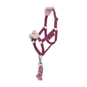 LeMieux LeMieux Hobby Horse Headcollar in Blackberry