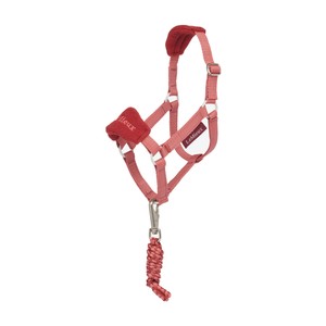 LeMieux LeMieux Hobby Horse Headcollar in Spiced Earth