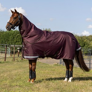 LeMieux LeMieux Arika Ripstop 0g Turnout Rug in Bramble