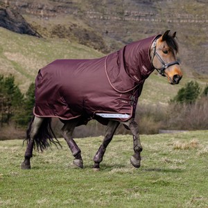 LeMieux LeMieux Arika Ripstop 0g Turnout Rug in Bramble
