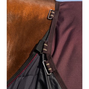 LeMieux LeMieux Arika Ripstop 0g Turnout Rug in Bramble
