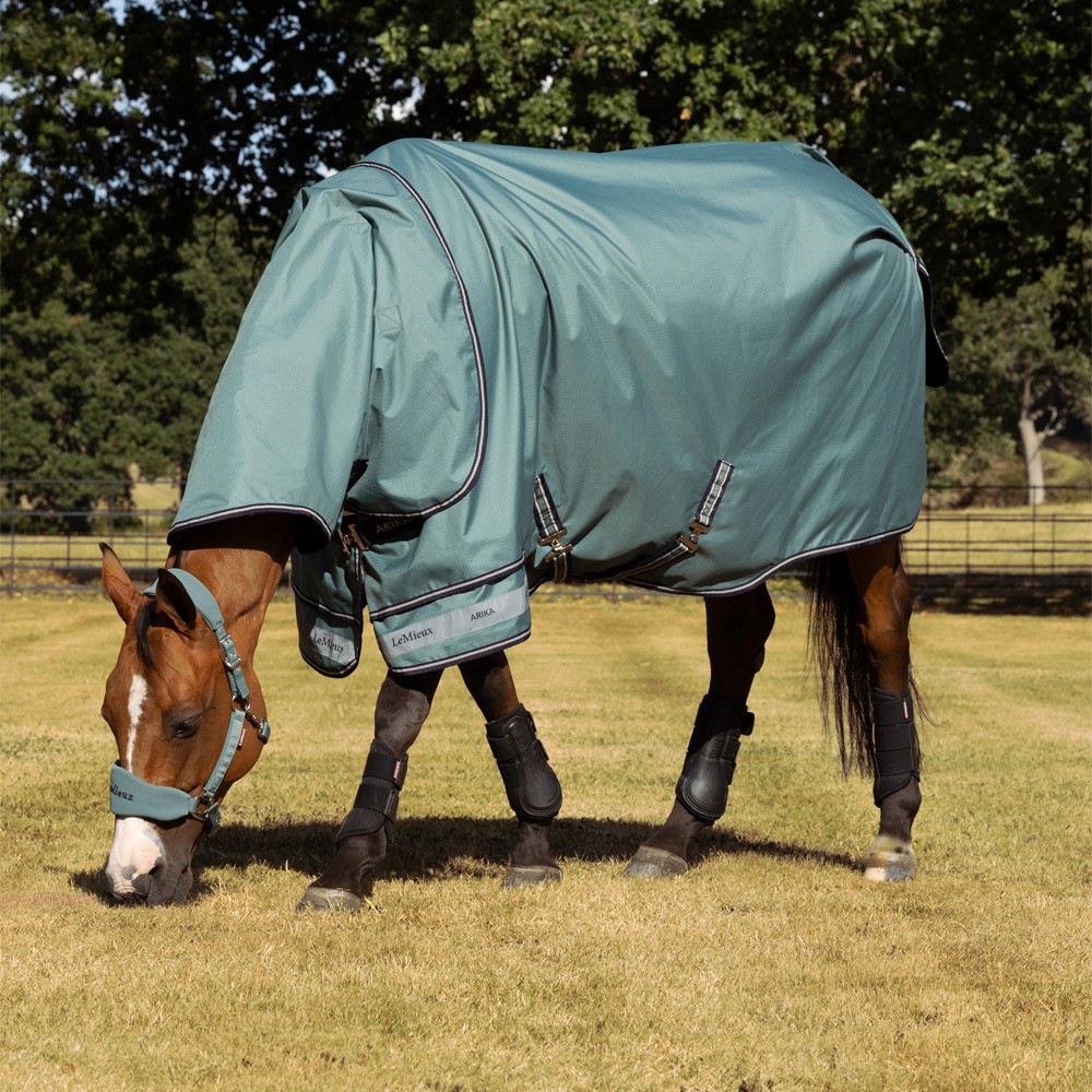 LeMieux Arika Ripstop 0g Turnout Rug Green
