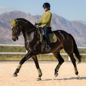 LeMieux LeMieux Suede Dressage Square in Gooseberry