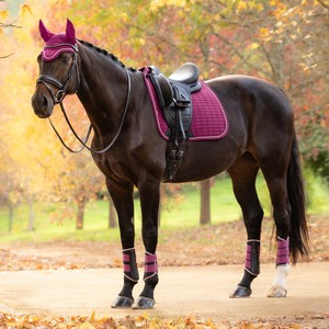 LeMieux LeMieux Suede Dressage Square in Blackberry